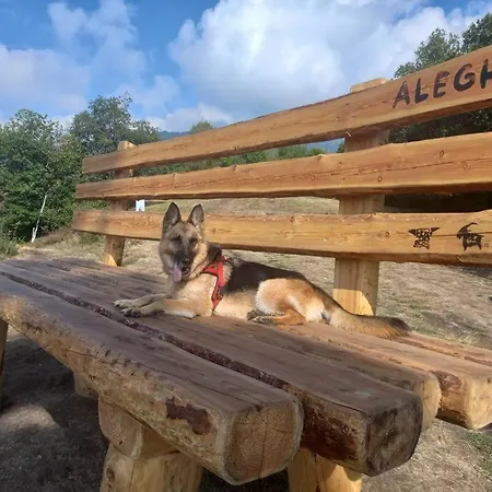公寓 Ca Milla Relax Sport E Natura Coazze