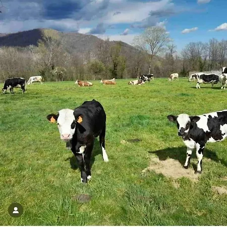 Ca Milla Relax Sport E Natura *